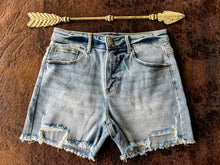 Blossom Denim Shorts {Light Stone}